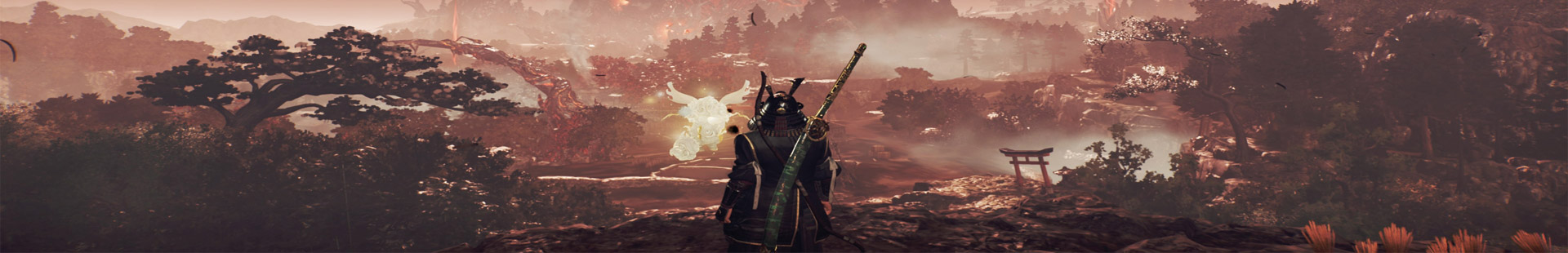 Nioh 3